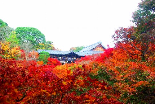 IMGP6258.jpg (78018 バイト)