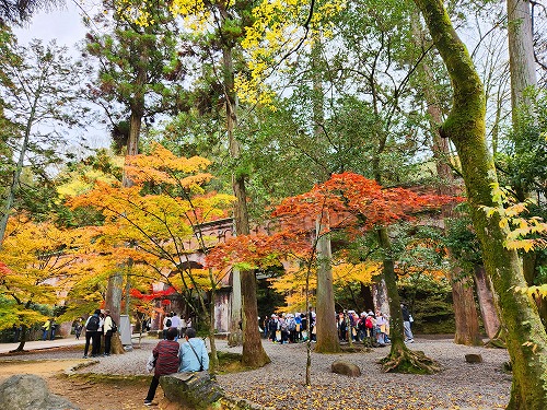 20251126_131838.jpg (150028 バイト)