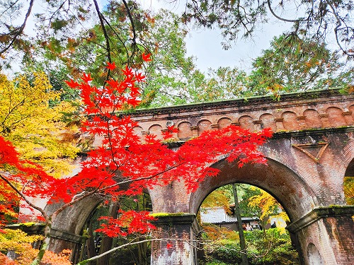 20251126_132016.jpg (145797 バイト)