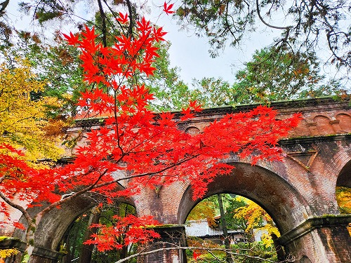 20251126_132022.jpg (147592 バイト)