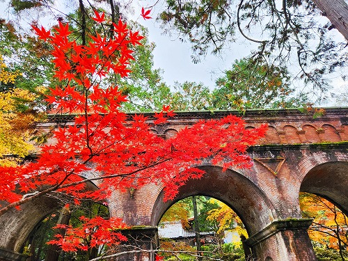 20251126_132027.jpg (146254 �o�C�g)