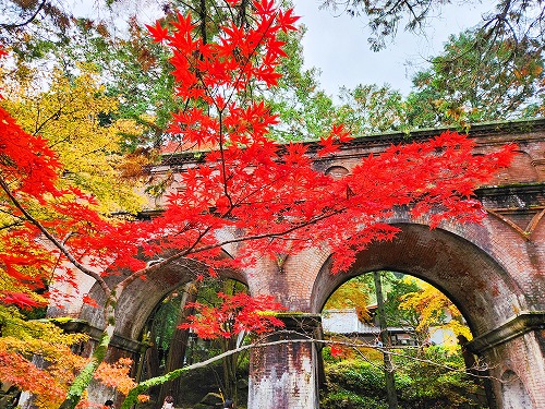 20251126_132034.jpg (149418 バイト)