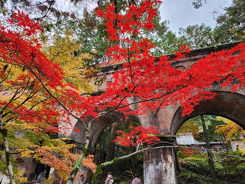 20251126_132035.jpg (143124 バイト)