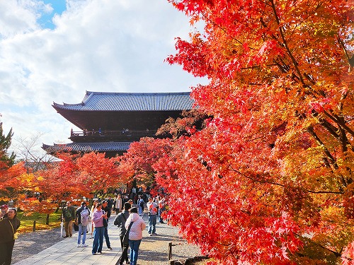 20251126_134453.jpg (129567 バイト)