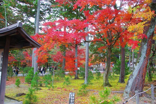 IMGP6261.jpg (118549 バイト)