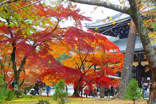 IMGP6266.jpg (120368 �o�C�g)