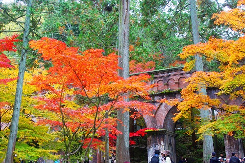 IMGP6269.jpg (128907 �o�C�g)