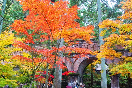 IMGP6271.jpg (128657 バイト)