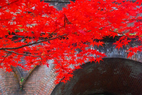 IMGP6276.jpg (88961 バイト)