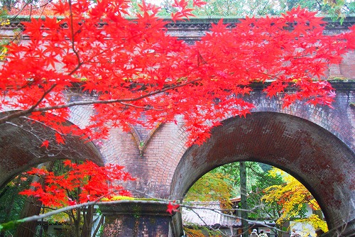 IMGP6277.jpg (111299 バイト)