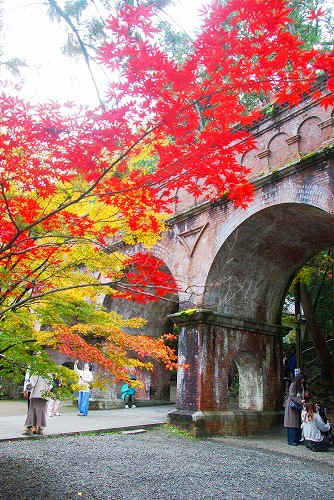 IMGP6282.jpg (109251 バイト)