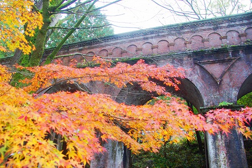 IMGP6287.jpg (113595 バイト)