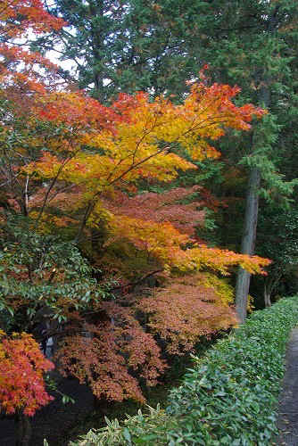 IMGP6297.jpg (107976 �o�C�g)