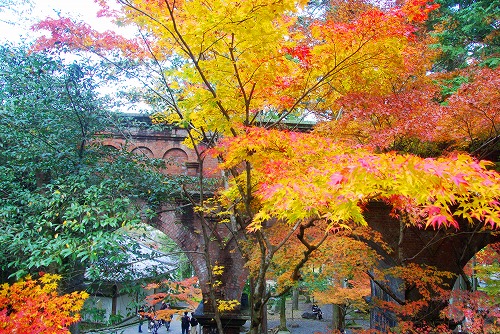 IMGP6299.jpg (131271 �o�C�g)