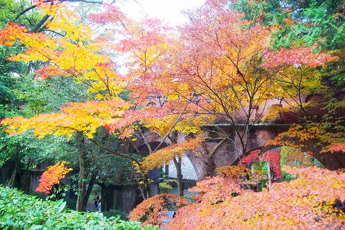 IMGP6303.jpg (128747 バイト)