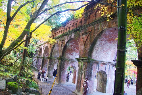 IMGP6306.jpg (112431 バイト)