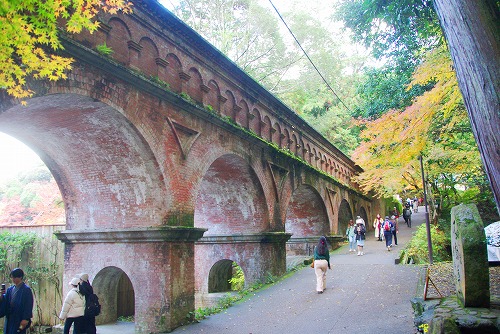 IMGP6307.jpg (98416 バイト)