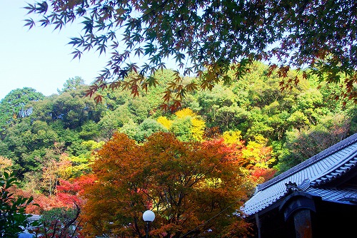 IMGP6327.jpg (125179 バイト)