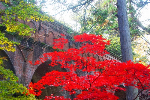 IMGP6334.jpg (107150 バイト)