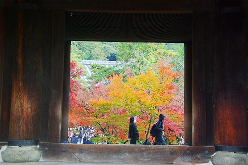 IMGP6361.jpg (66902 バイト)