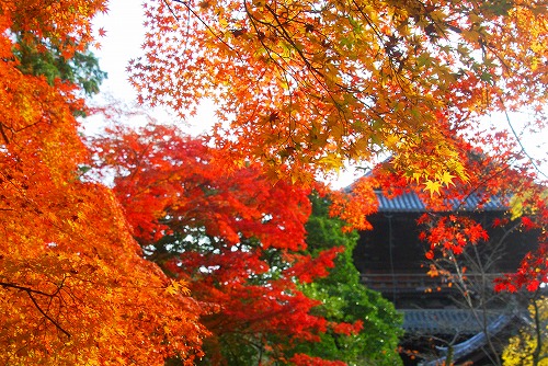 IMGP6430.jpg (121984 �o�C�g)