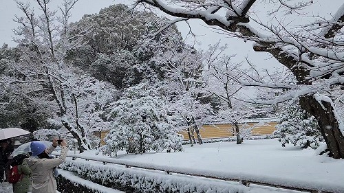 20260208_105940 - frame at 0m55s.jpg (91681 �o�C�g)