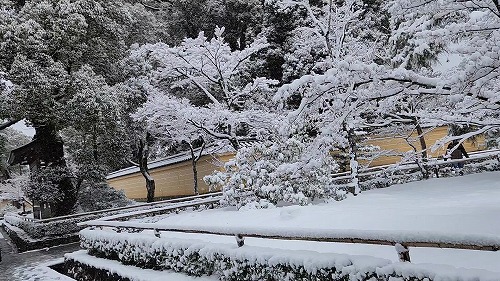 20260208_105940 - frame at 1m10s.jpg (95466 �o�C�g)