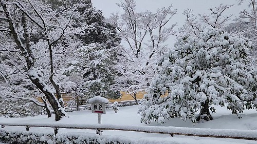 20260208_105940 - frame at 1m2s.jpg (94764 �o�C�g)