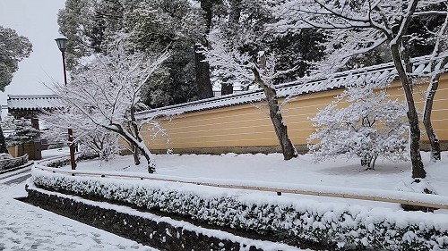 20260208_110111 - frame at 0m2s.jpg (91561 �o�C�g)