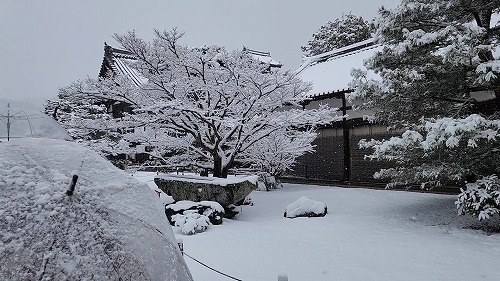 20260208_110215 - frame at 0m15s.jpg (72039 �o�C�g)