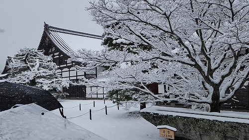 20260208_110255 - frame at 0m8s.jpg (83620 �o�C�g)