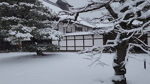 20260208_110415 - frame at 0m1s.jpg (71771 �o�C�g)