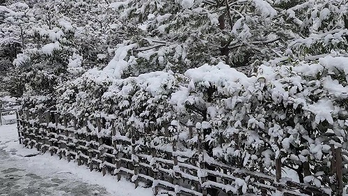 20260208_110844 - frame at 0m12s.jpg (103361 �o�C�g)