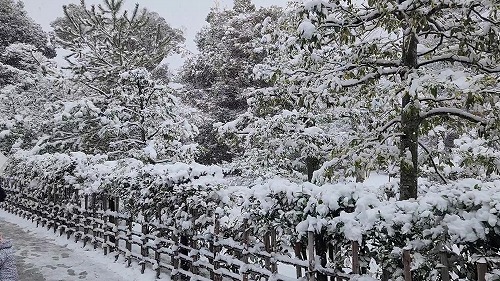 20260208_110844 - frame at 0m2s.jpg (105377 �o�C�g)