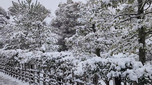 20260208_110844 - frame at 0m3s.jpg (104929 �o�C�g)