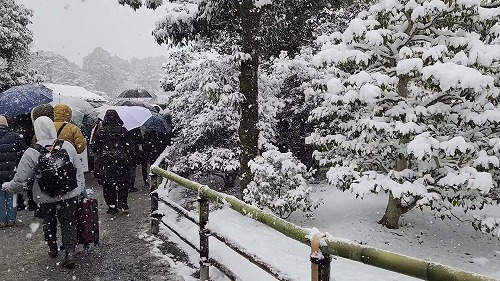 20260208_110844 - frame at 0m45s.jpg (91663 �o�C�g)