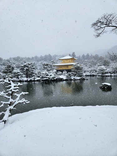 20260208_111318.jpg (62330 �o�C�g)