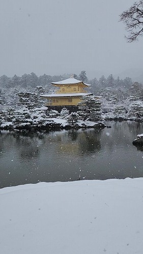 20260208_111418 - frame at 0m12s.jpg (42124 �o�C�g)