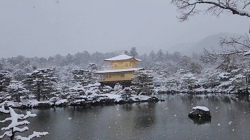 20260208_111442 - frame at 0m2s.jpg (60138 �o�C�g)