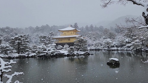 20260208_111500 - frame at 0m0s.jpg (64755 �o�C�g)