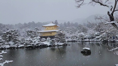 20260208_111504 - frame at 0m1s.jpg (63671 �o�C�g)