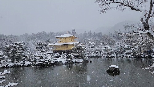 20260208_111504 - frame at 0m7s.jpg (63534 �o�C�g)