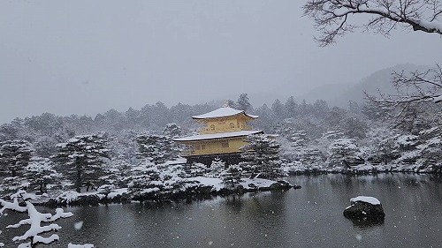 20260208_111514 - frame at 0m11s.jpg (58101 �o�C�g)