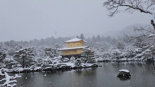 20260208_111514 - frame at 0m9s.jpg (59303 �o�C�g)