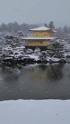 20260208_111553 - frame at 0m10s.jpg (53756 �o�C�g)