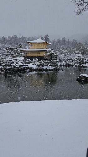 20260208_111553 - frame at 0m7s.jpg (39924 �o�C�g)