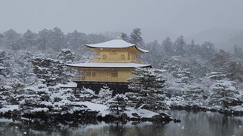 20260208_111616 - frame at 0m2s.jpg (68723 �o�C�g)