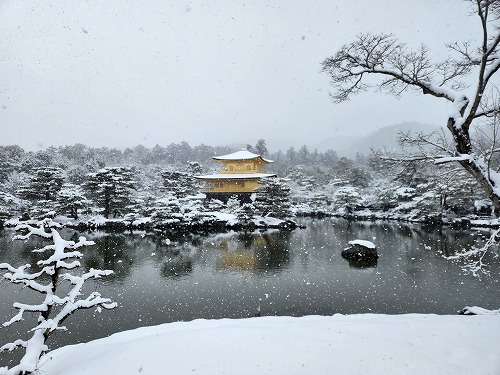 20260208_111647.jpg (79689 �o�C�g)