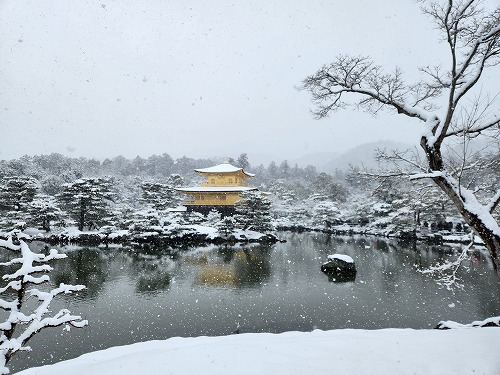 20260208_111651.jpg (80133 �o�C�g)