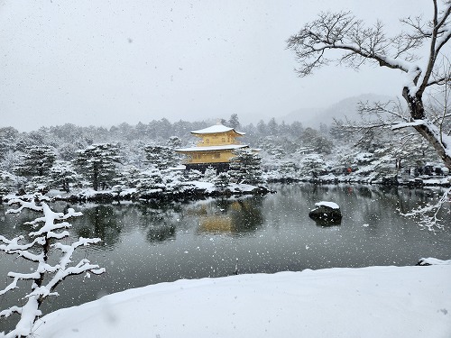 20260208_111654.jpg (78944 �o�C�g)